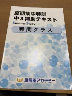 2026年最新】早稲アカ 特訓 中3の人気アイテム - メルカリ
