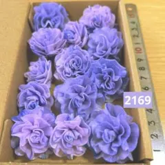 ソラフラワー　2169