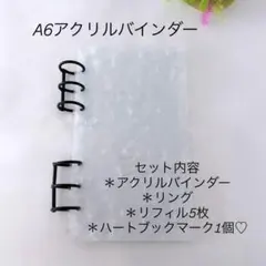 アクリルバインダー♡水流模様 A6韓国 バインダー貯金 savingブラック
