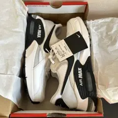 ナイキ　NIKE エアマックス エクシー FN7304-100 【新品未使用】