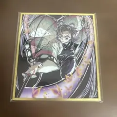 鬼滅の刃 アクリル色紙 無限城編 WEBSHOP くじ 胡蝶しのぶ C46