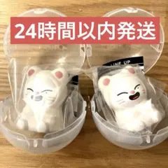 skzoo ライトマスコット　ジニレット　2個セット