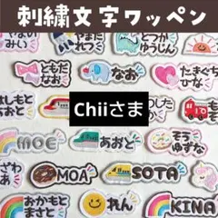 (320)Chiiさま【М0127】ワンポイント付き刺繍ワッペン