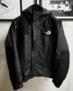 美品 ノースフェイス ゴアテックス マウンテンライトジャケット