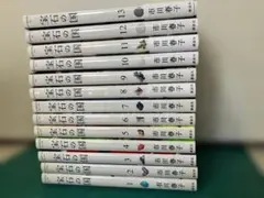 全巻＋関連本】宝石の国 1巻〜13巻 全巻 市川春子作品集 25時の