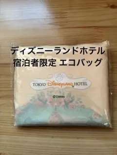 【新品未開封】ディズニーランドホテル 宿泊者限定 エコバッグ