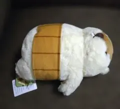 マーモットのもっとっと へそ天