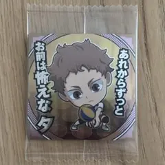 にふぉるめーしょん ハイキュー　夜久衛輔