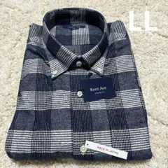 Item thumbnail for item 48205bfe-ef7a-433a-90de-bc7183d77cb3