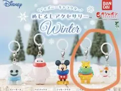 ディズニーキャラクター　めじるしアクセサリー winter