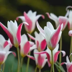 さーこ様 リクエスト 2点 まとめ商品