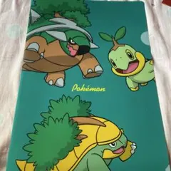 非売品　ポケモンファイル5枚組