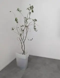 REXITE レキサイト 1500 ECO ダストボックス　イタリア製　モダン