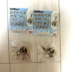 ハイキュー!! アンブレラチャームコレクション 牛島若利 赤葦京治