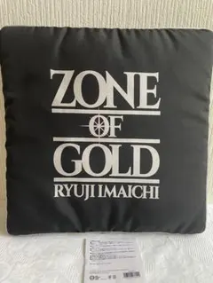 今市隆二RYUJI IMAICHI ZONE OF GOLD シートクッション