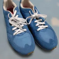 新品　THE NORTH FACE 青 スニーカー　25.5センチのサムネイル