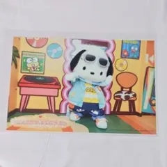 ♥メルカリ便♥ ポチャッコ バースデーライブ ピューロ ポストカード