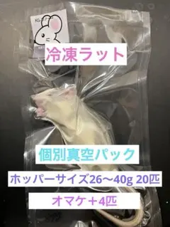 2026年最新】冷凍ラットの人気アイテム - メルカリ