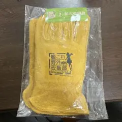 Item thumbnail for item fd1ff221-5dd2-44ec-a174-dd57a75daf37