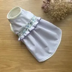 Item thumbnail for item 38672d89-35c5-435f-9eaa-c15dd0703b25