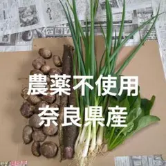 2026年最新】里芋 土垂の人気アイテム - メルカリ