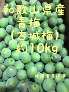 青梅　小梅　10kg ★1箱限定‼︎★ 農薬不使用　栃木県 青梅 小梅 10kg ☆1箱限定‼︎☆ 農薬不使用 栃木県 - メルカリ