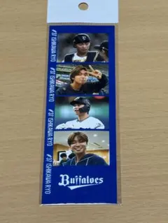 石川亮　グッズ 石川亮選手 グッズ一覧 | 商品一覧 | オリックス・バファローズ公式