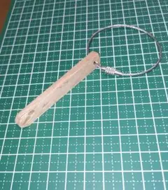 Item thumbnail for item 303cd353-4f56-4fe7-8982-2146b75b46f2