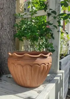 特大 テラコッタ風樹脂プランター イタリア TELCOM製 ガーデニング