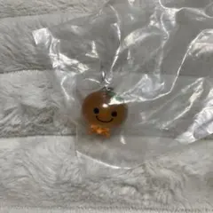 サンエックス　めじるしアクセサリー　みかんぼうや