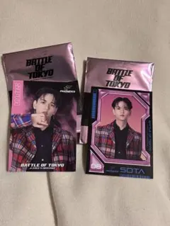 Item thumbnail for item 3b5eb47f-20d8-4bb0-961e-c40ac3493de5