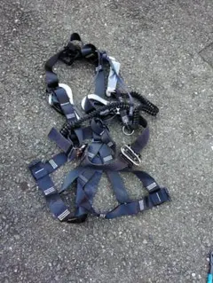 Item thumbnail for item f6f64083-4147-4c2c-b0ff-772145880dad