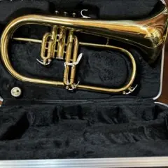 Item thumbnail for item 46a3a344-9b73-41ea-8518-15e0d6045957