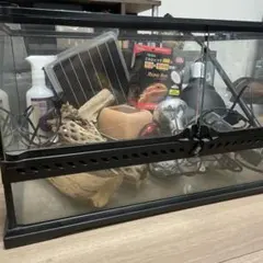 2025年最新】グラステラリウム6045の人気アイテム - メルカリ