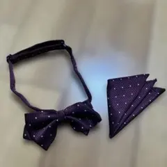新品未使用☆コムサイズム　エンジ　ドット柄　蝶ネクタイ＆ポケットチーフセットF