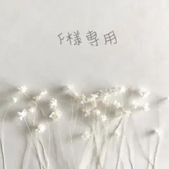 ❁︎F様専用ページ❁︎