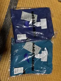 Item thumbnail for item 7fbbcc2f-2eb7-43a0-90ac-1474a87c24c0