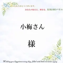 小梅さん　様専用
