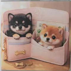 ☆受付☆柴犬№4