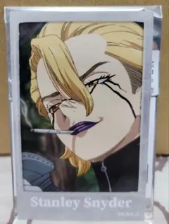 2026年最新】Dr.STONE スタンリー ブロマイドの人気アイテム - メルカリ