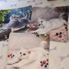 Item thumbnail for item 4eb5f6ed-bbea-49d2-b3ff-9758ec82a141