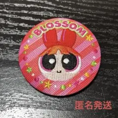 【匿名発送】パワーパフガールズ 刺繍缶バッジ ブロッサム