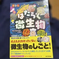 はたらく細胞 2 超強敵! インフルエンザと食中毒＆人体のふしぎ図鑑2冊