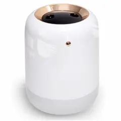 Item thumbnail for item 77b8ce27-6b91-4f74-b3d5-aa572999c2e8