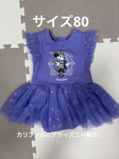 2025年最新】カルフォルニアディズニー 100周年の人気アイテム