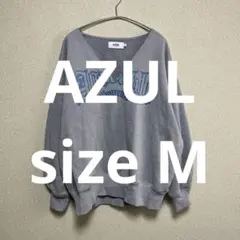 AZUL スウェットのサムネイル