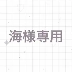 専用ページ