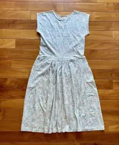 Item thumbnail for item 72fa3929-58ab-49da-ab86-c0ae51b66152