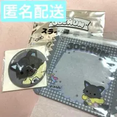 JOCHUM トレカケース ピーハイ - メルカリ