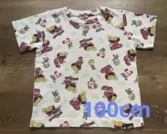 Item thumbnail for item d4d03343-7bfe-4a96-993f-2ef17ccd325a